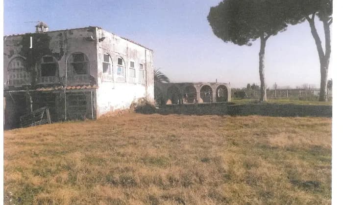 Rexer-Latina-Casale-Altro